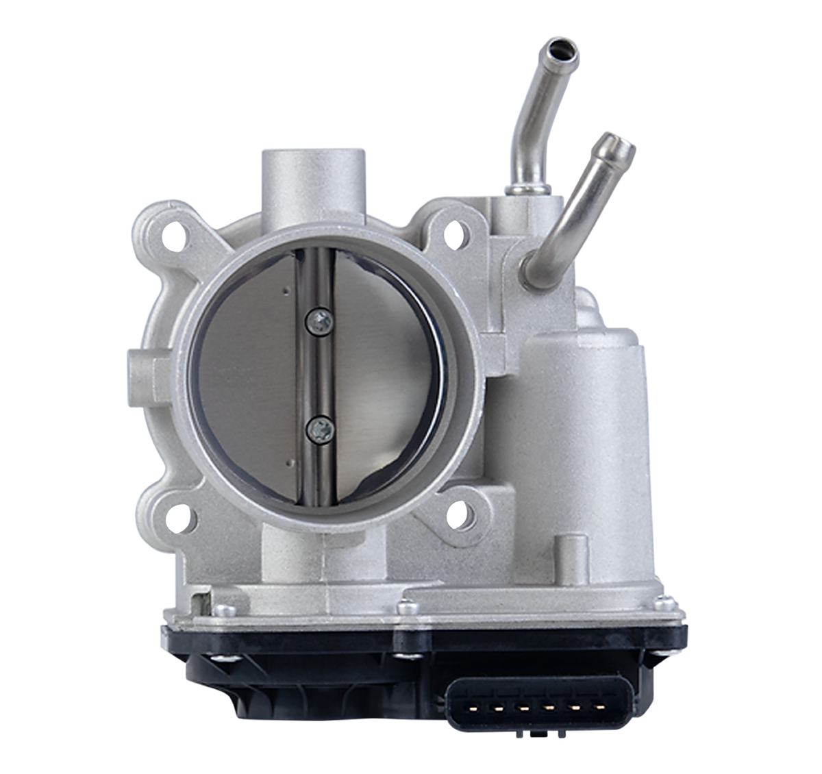 CORPO DE BORBOLETA TBI