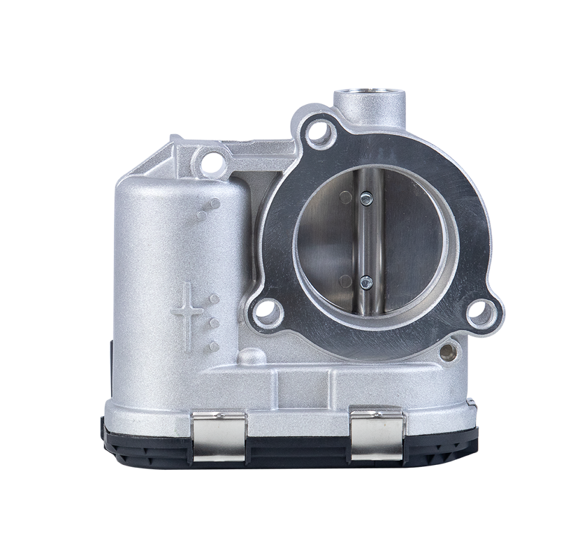 CORPO DE BORBOLETA TBI