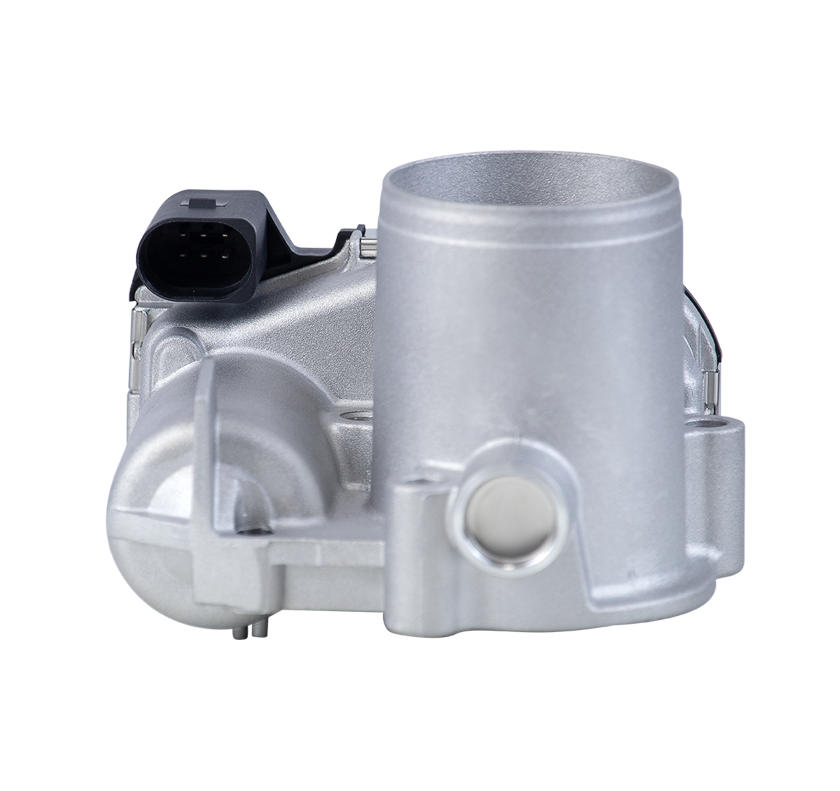 CORPO DE BORBOLETA TBI