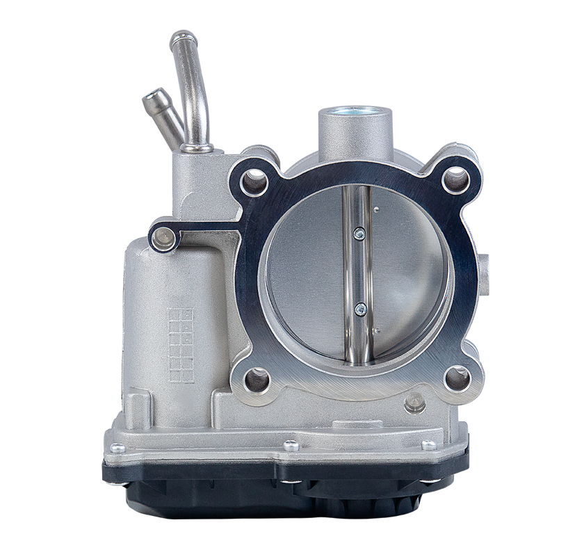 CORPO DE BORBOLETA TBI