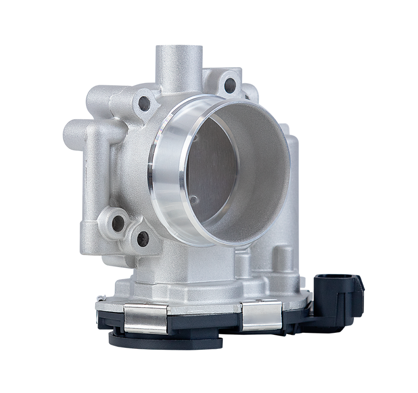 CORPO DE BORBOLETA TBI