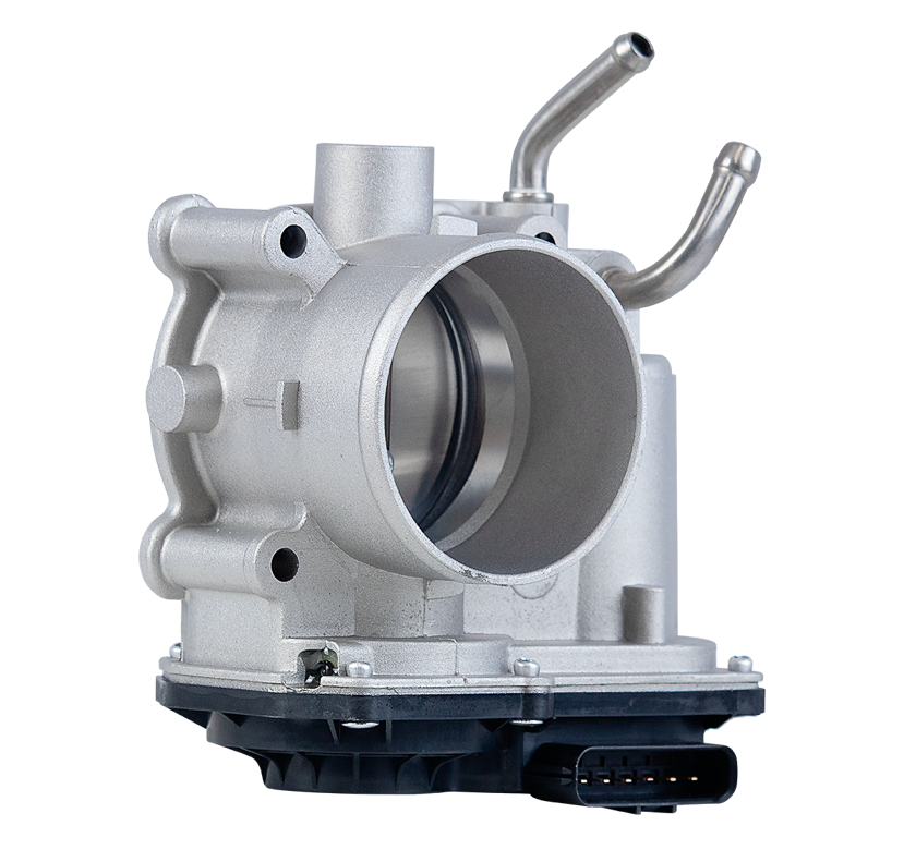 CORPO DE BORBOLETA TBI