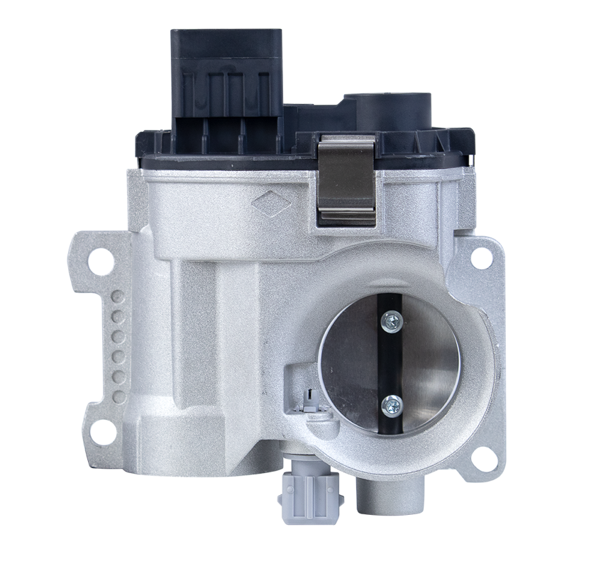 CORPO DE BORBOLETA TBI