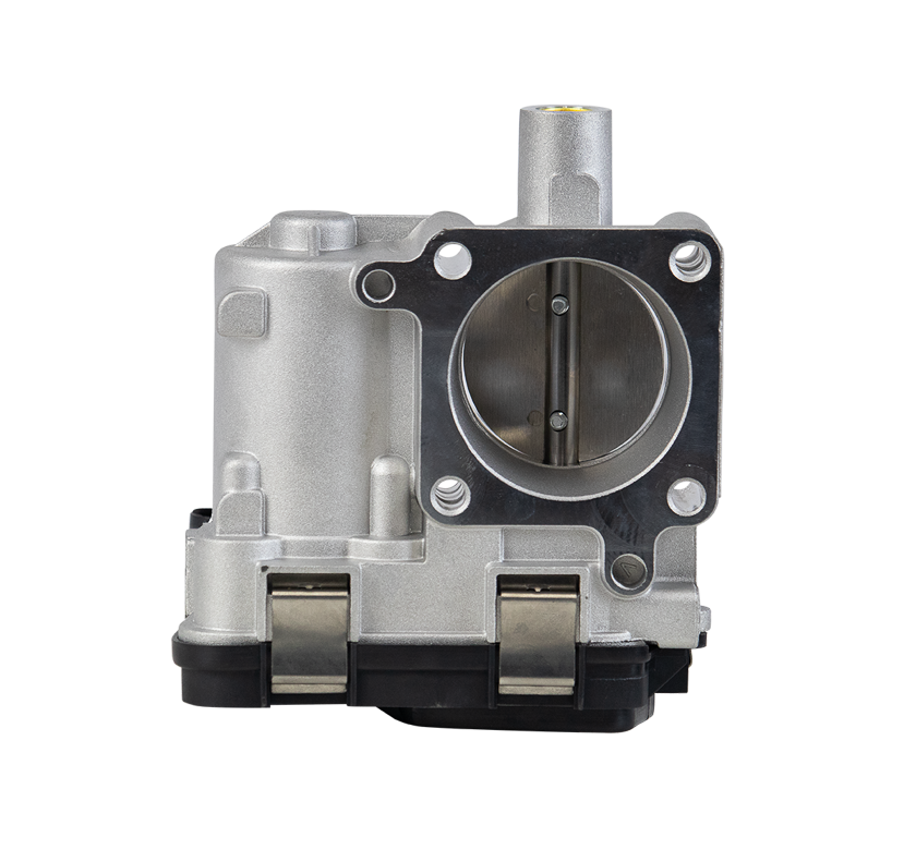 CORPO DE BORBOLETA TBI