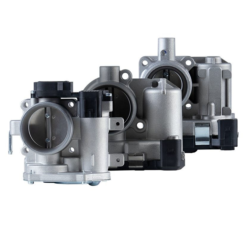 CORPO DE BORBOLETA TBI