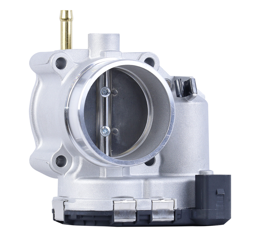 CORPO DE BORBOLETA TBI