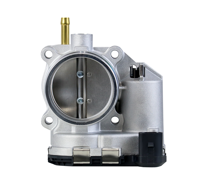 CORPO DE BORBOLETA TBI