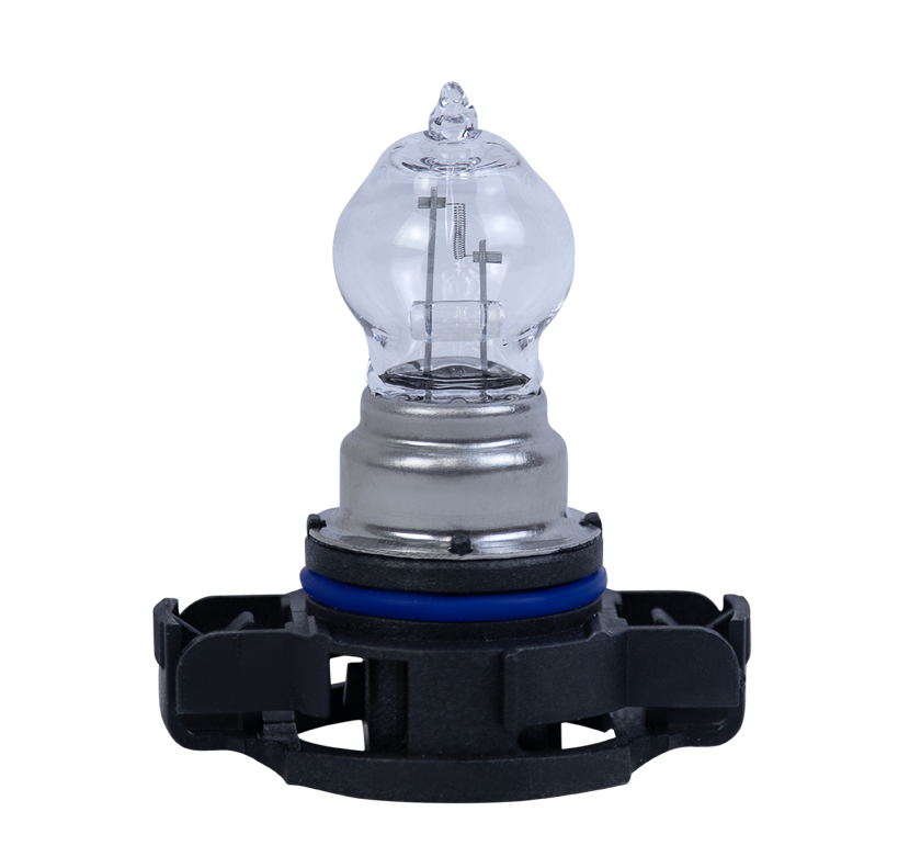 LÂMPADAS XENON LINHA D