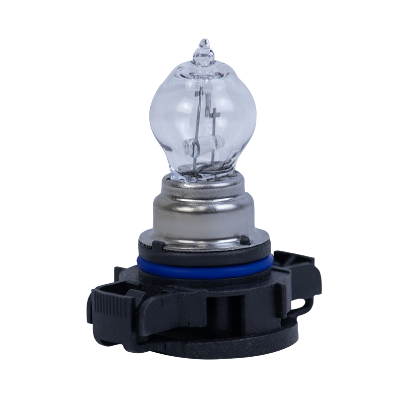 LÂMPADAS XENON LINHA D