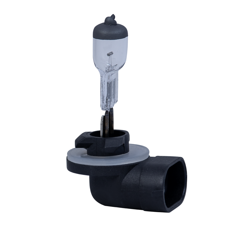 LÂMPADAS XENON LINHA D